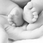 DNA Baby on Board workshop busts pregnancy myths
