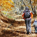 2258661-father-and-son-walking-in-autumn-forest